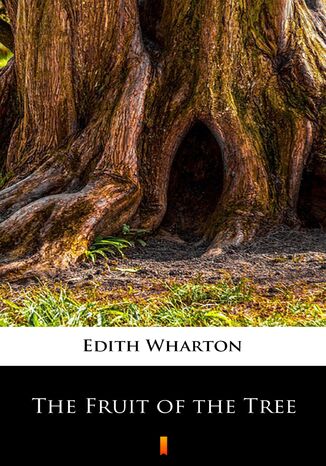 The Fruit of the Tree Edith Wharton - okadka ebooka