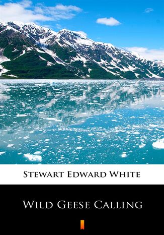 Wild Geese Calling Stewart Edward White - okadka audiobooka MP3