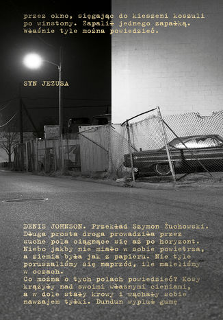 Okładka książki/ebooka Syn Jezusa