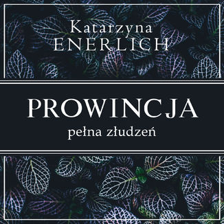 Prowincja pena zudze Katarzyna Enerlich - okadka audiobooka MP3