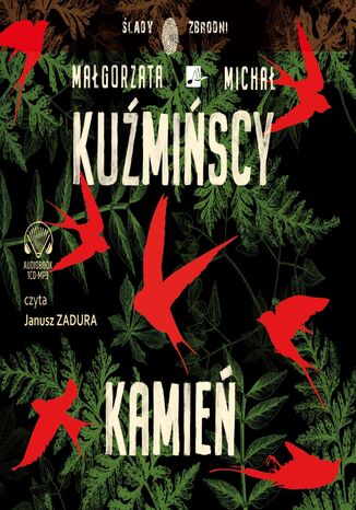 Kamień