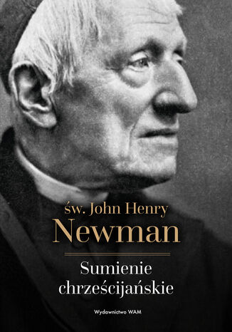 Sumienie chrzecijaskie John Henry Newman - okadka ebooka