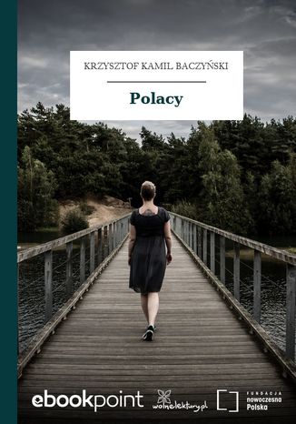 Ebook Polacy