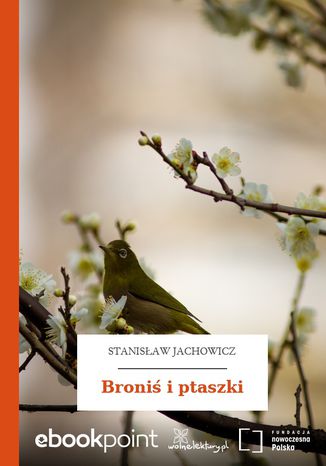 Broni i ptaszki Stanisaw Jachowicz - okadka audiobooks CD