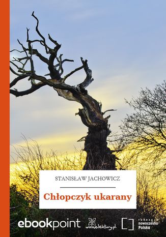 Chopczyk ukarany Stanisaw Jachowicz - okadka audiobooks CD