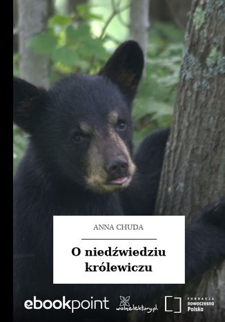 O niedwiedziu krlewiczu Anna Chuda - okadka audiobooks CD