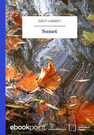 Sonet Jerzy Liebert - okadka audiobooks CD