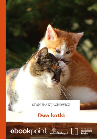 Dwa kotki Stanisaw Jachowicz - okadka audiobooka MP3