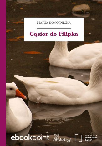 Gsior do Filipka Maria Konopnicka - okadka ebooka