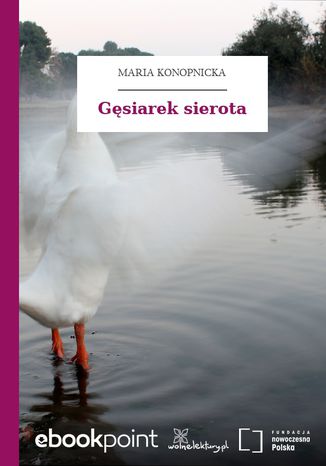 Gsiarek sierota Maria Konopnicka - okadka audiobooks CD