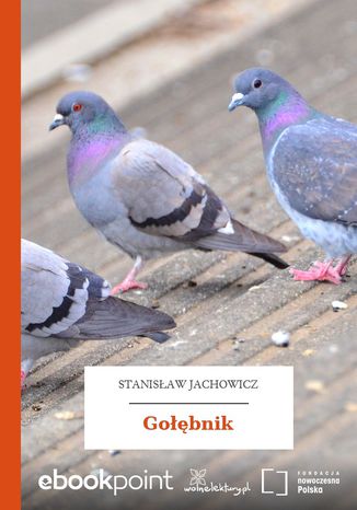Gobnik Stanisaw Jachowicz - okadka audiobooks CD
