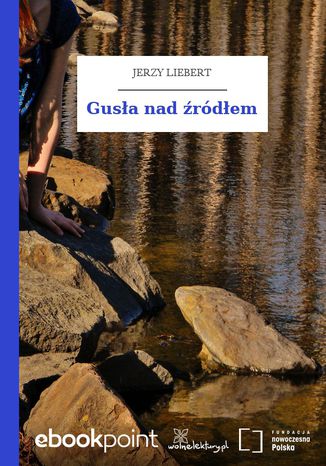 Gusa nad rdem Jerzy Liebert - okadka audiobooks CD