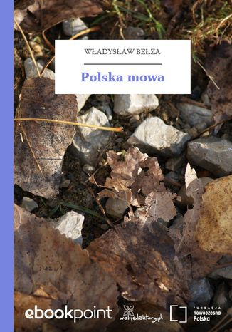 Polska mowa Wadysaw Beza - okadka audiobooka MP3