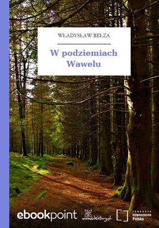 Ebook W podziemiach Wawelu