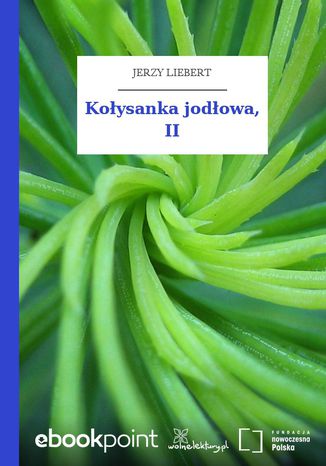 Koysanka jodowa, II Jerzy Liebert - okadka ebooka