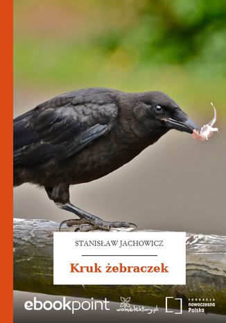 Kruk ebraczek Stanisaw Jachowicz - okadka audiobooks CD