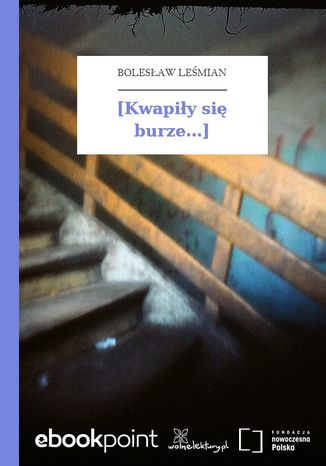 [Kwapiy si burze...] Bolesaw Lemian - okadka audiobooks CD