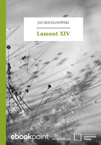 Ebook Lament XIV