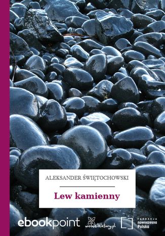 Lew kamienny Aleksander witochowski - okadka audiobooka MP3