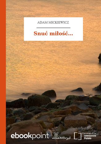 Snu mio Adam Mickiewicz - okadka audiobooks CD