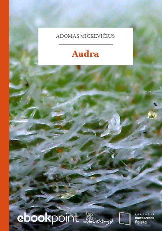 Audra Adam Mickiewicz - okadka audiobooka MP3