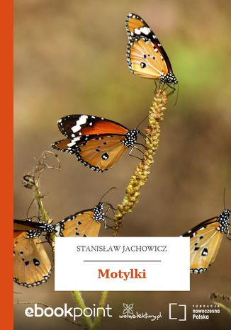 Motylki Stanisaw Jachowicz - okadka audiobooka MP3