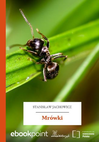Mrwki Stanisaw Jachowicz - okadka audiobooks CD