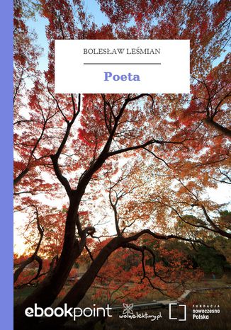 Poeta Bolesaw Lemian - okadka ebooka