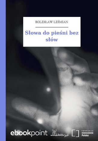 Sowa do pieni bez sw Bolesaw Lemian - okadka audiobooks CD