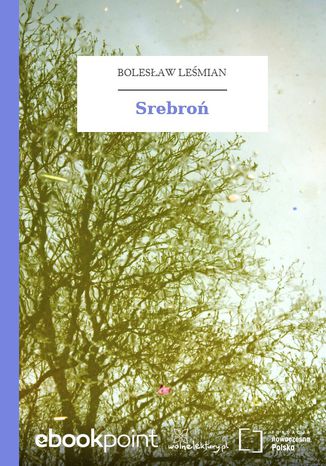 Srebro Bolesaw Lemian - okadka ebooka