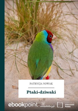 Ptaki-dziwaki Patrycja Nowak - okadka audiobooka MP3
