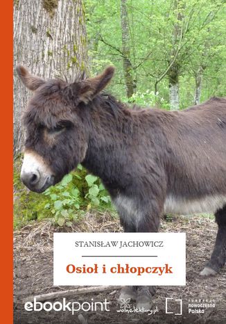 Osio i chopczyk Stanisaw Jachowicz - okadka audiobooka MP3