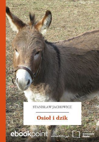 Osio i dzik Stanisaw Jachowicz - okadka audiobooka MP3