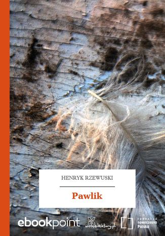 Pawlik Henryk Rzewuski - okadka ebooka