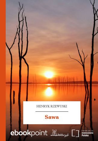 Sawa Henryk Rzewuski - okadka audiobooka MP3