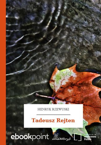 Tadeusz Rejten Henryk Rzewuski - okadka ebooka