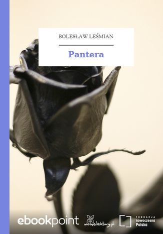 Pantera Bolesaw Lemian - okadka ebooka