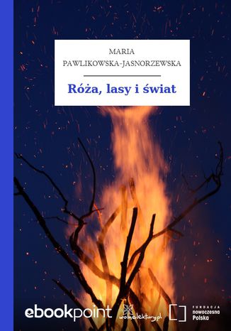 Ra, lasy i wiat Maria Pawlikowska-Jasnorzewska - okadka ebooka