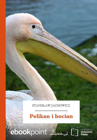 Pelikan i bocian Stanisaw Jachowicz - okadka audiobooka MP3