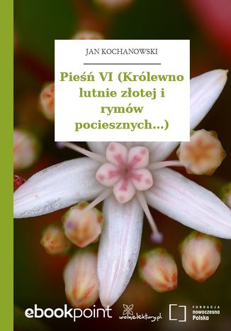 Pie VI (Krlewno lutnie zotej i rymw pociesznych...) Jan Kochanowski - okadka audiobooks CD