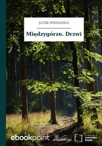 Midzygrze. Drzwi Jacek Podsiado - okadka ebooka
