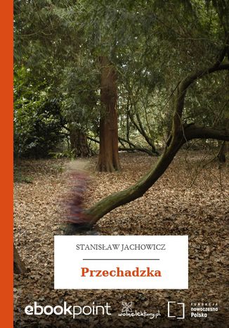 Przechadzka Stanisaw Jachowicz - okadka audiobooks CD