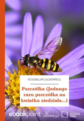 Pszczka (Jednego razu pszczka na kwiatku siedziaa...) Stanisaw Jachowicz - okadka audiobooks CD