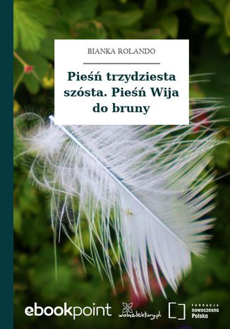 Okładka:Pieśń trzydziesta szósta. Pieśń Wija do bruny 