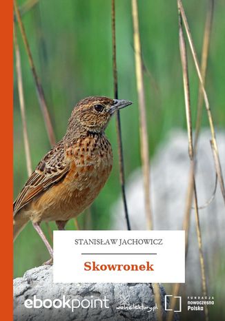 Skowronek Stanisaw Jachowicz - okadka audiobooks CD