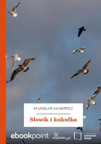 Sowik i kukuka Stanisaw Jachowicz - okadka audiobooka MP3