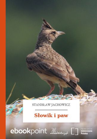 Sowik i paw Stanisaw Jachowicz - okadka audiobooka MP3
