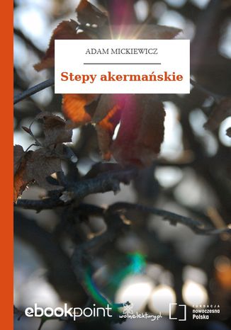 Stepy akermaskie Adam Mickiewicz - okadka audiobooka MP3