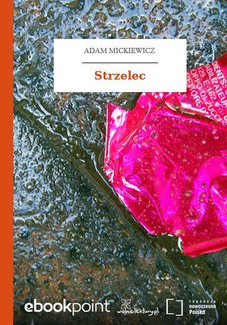 Strzelec Adam Mickiewicz - okadka audiobooks CD