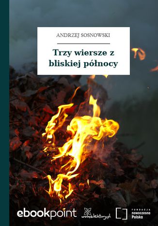 Trzy wiersze z bliskiej pnocy Andrzej Sosnowski - okadka audiobooka MP3